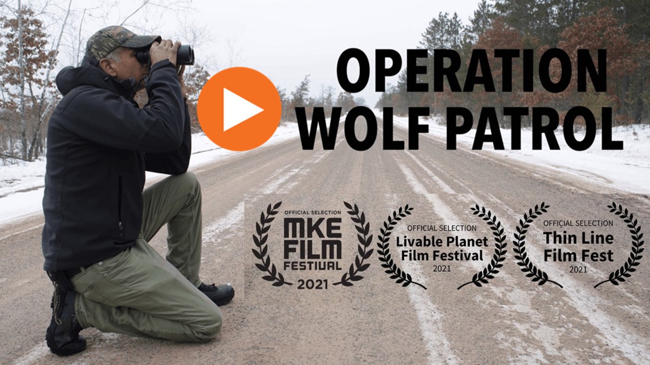 Operation Wolf Patrol