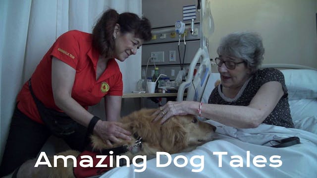 Amazing Dog Tales - Lending a Doggie Paw