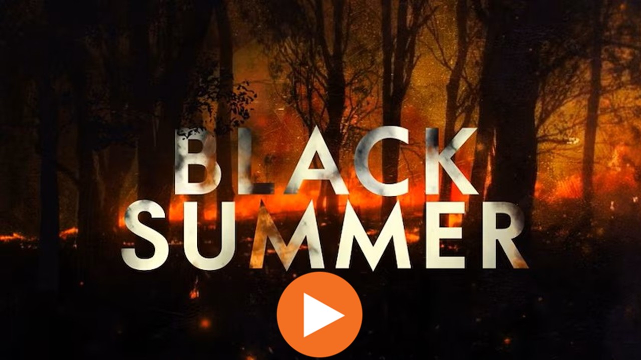 Black Summer 