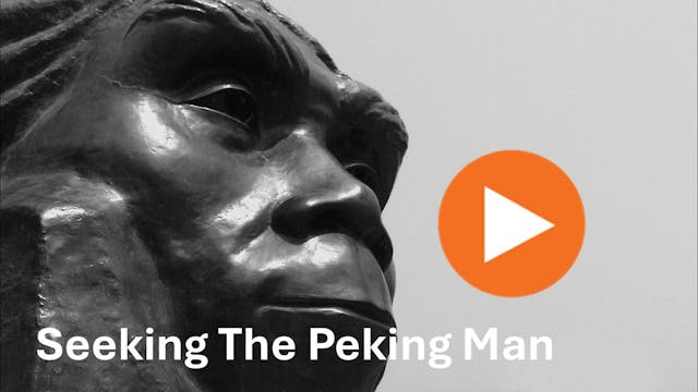 Discover China - Seeking the Peking Man