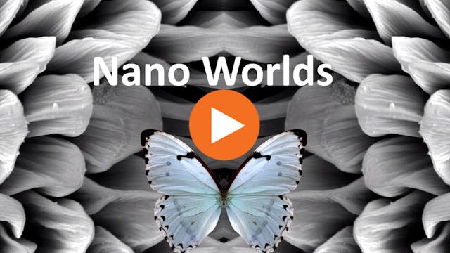 Nano Worlds