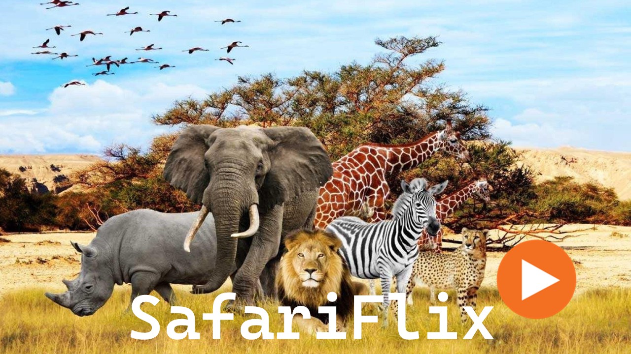 Safariflix Trailer