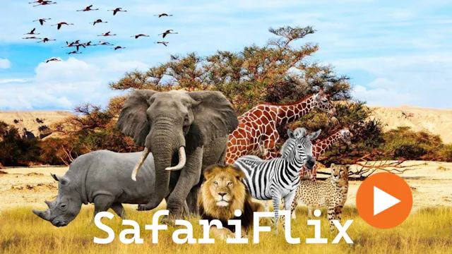 Safariflix Trailer