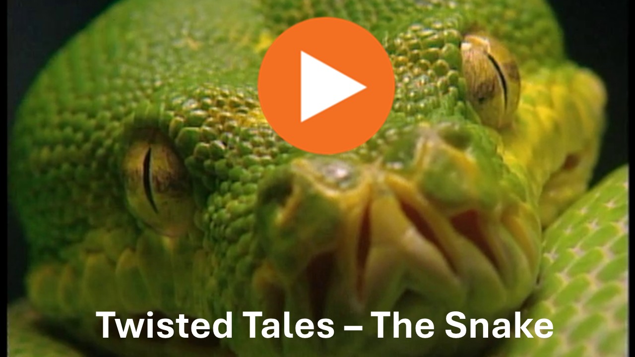 Twisted Tales (series 5/5 The Snake) Trailer