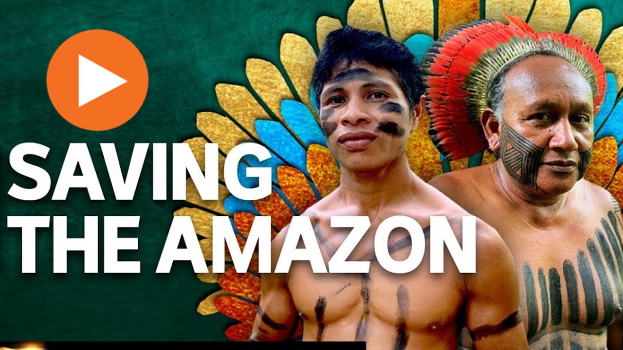 Saving The Amazon Trailer