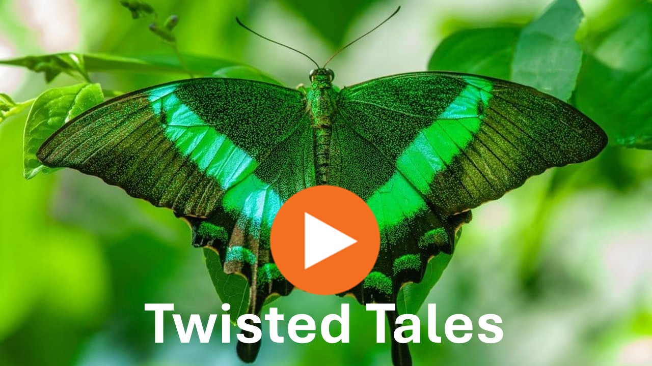 Twisted Tales - The Butterfly