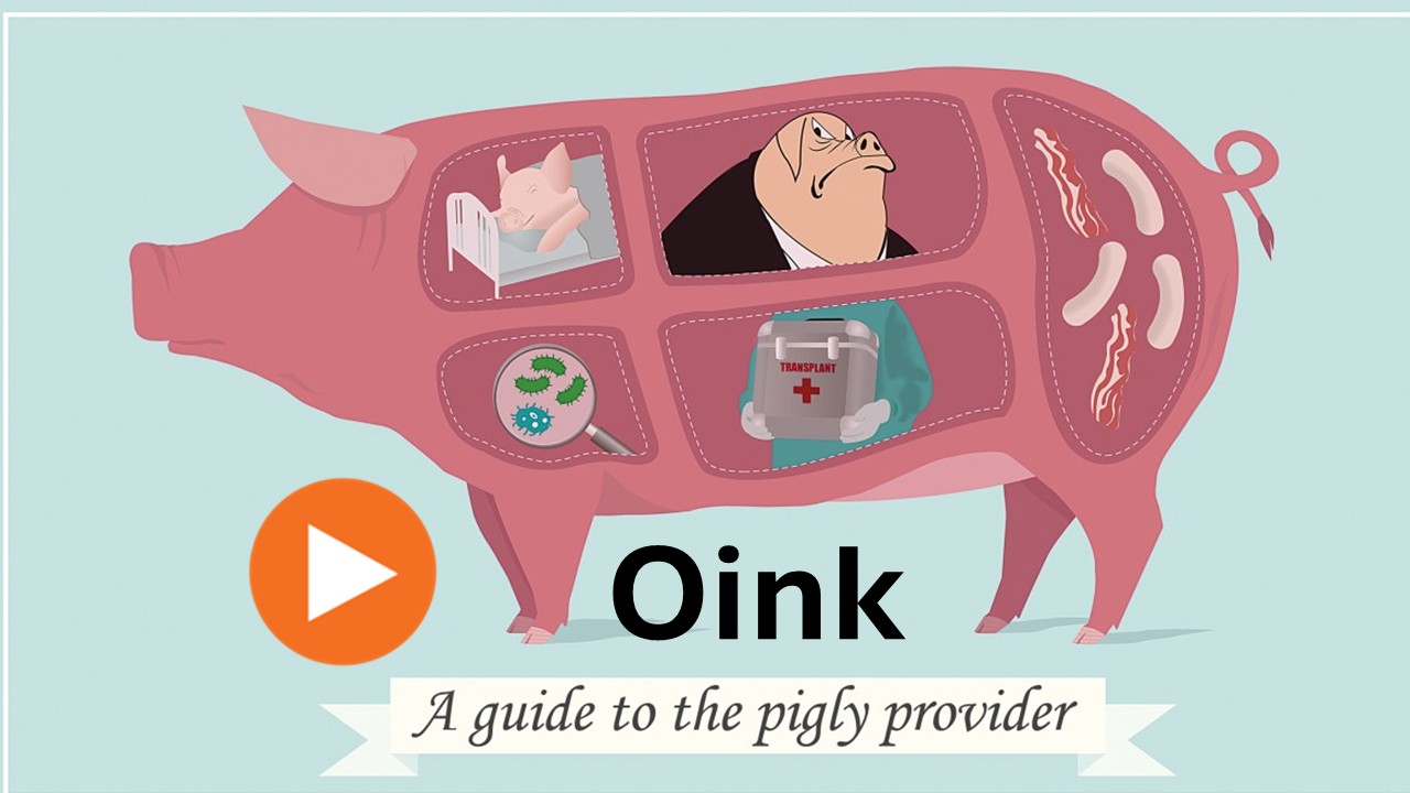 Oink: Man Loves Pig