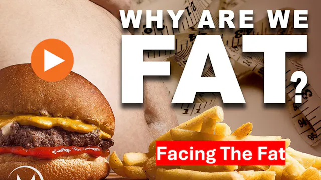 Facing the Fat Trailer