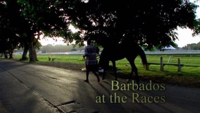 Barbados at the Races  
