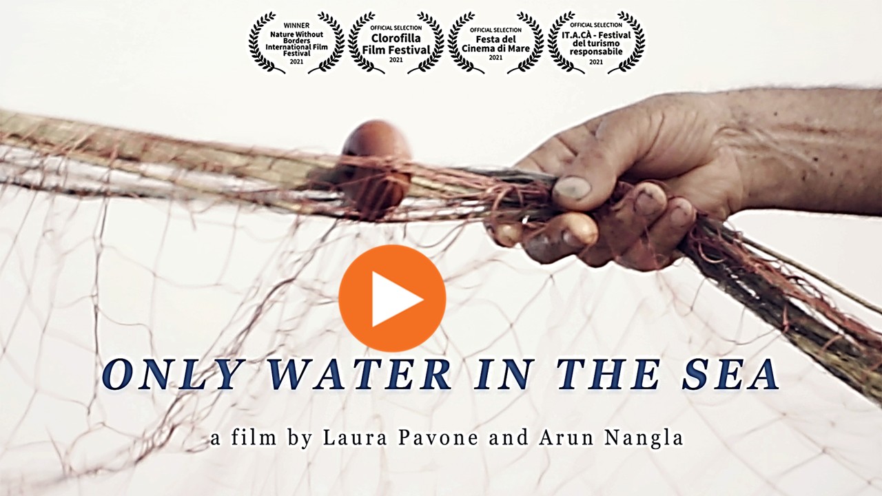 Only Water In The Sea Trailer