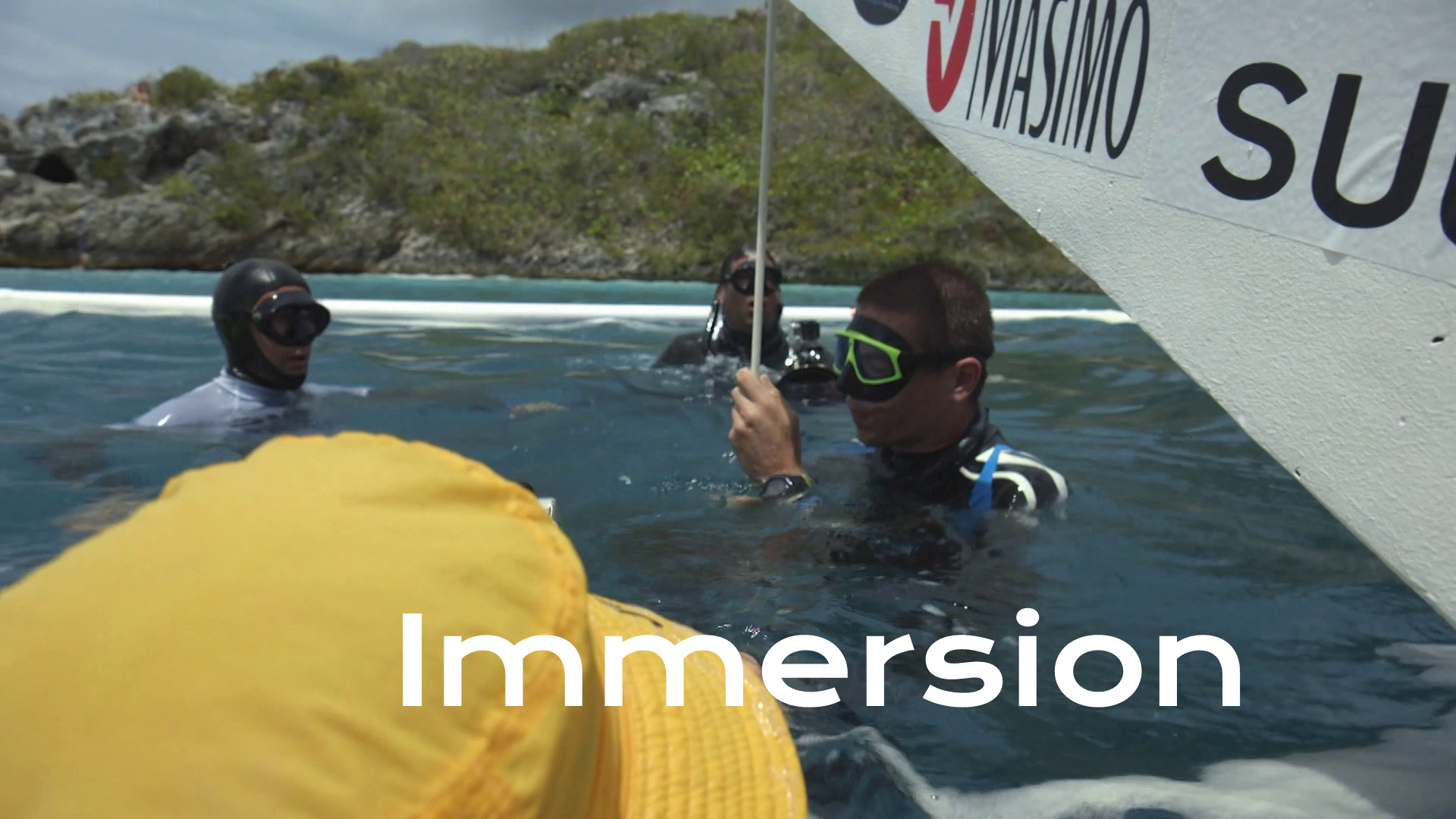 Immersion
