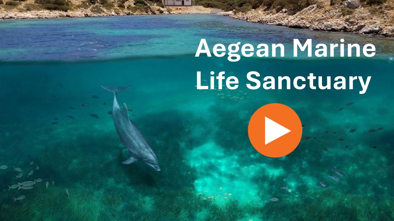Aegean Marine Life Sanctuary 