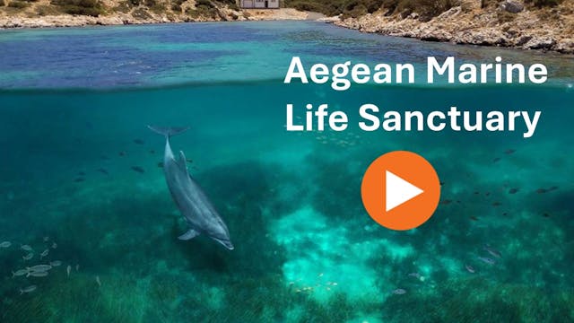 Aegean Marine Life Sanctuary