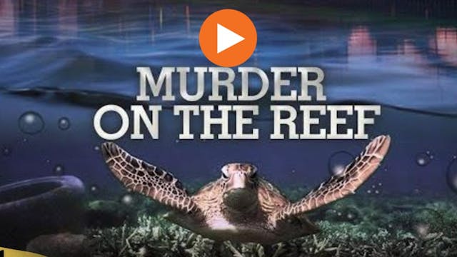 Murder On The Reef