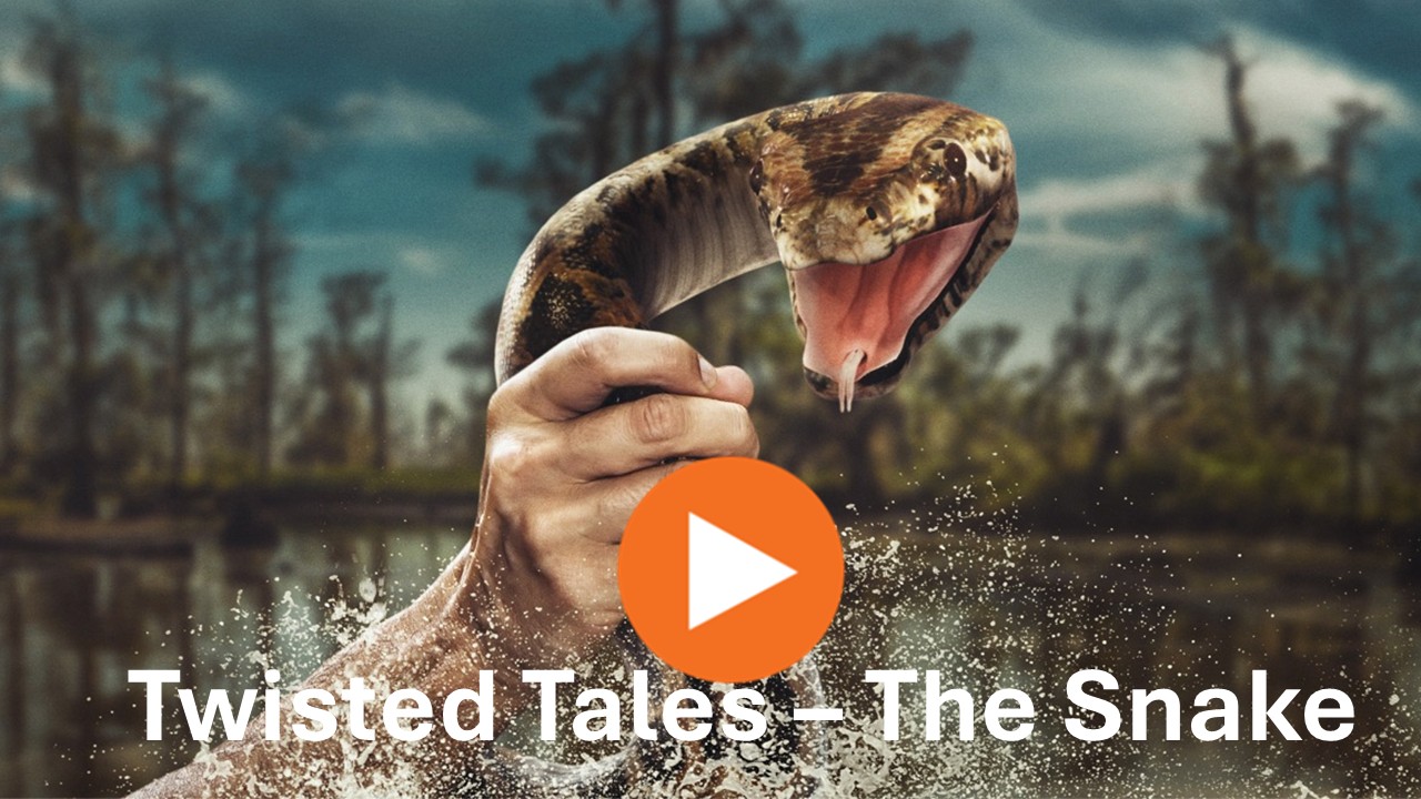 Twisted Tales - The Snake