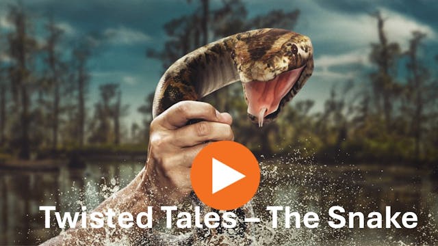 Twisted Tales - The Snake