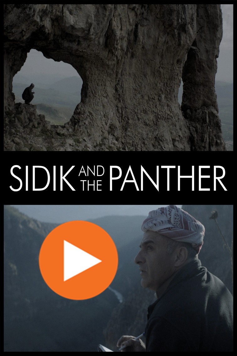 Sidik And The Panther 