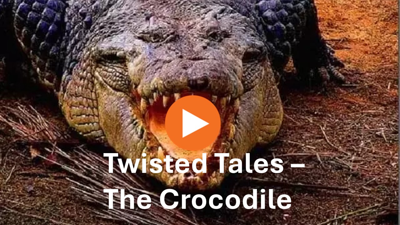 Twisted Tales - The Crocodile