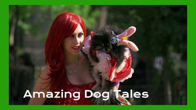 Amazing Dog Tales - Latest Doggie Tre...