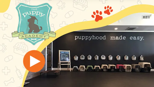 Puppy Academy season 1 - 2