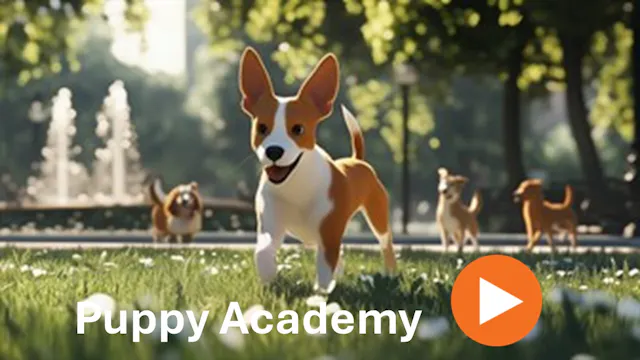 Puppy Academy season 1 - 2