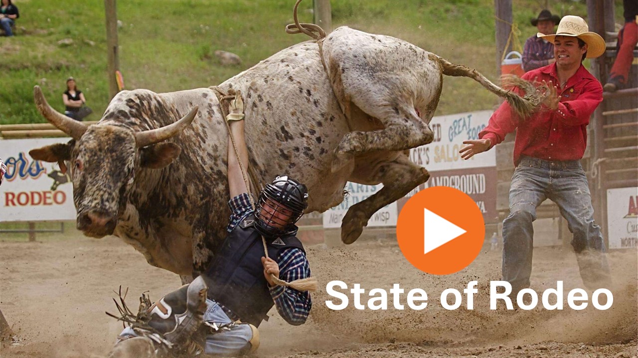 State of Rodeo Trailer