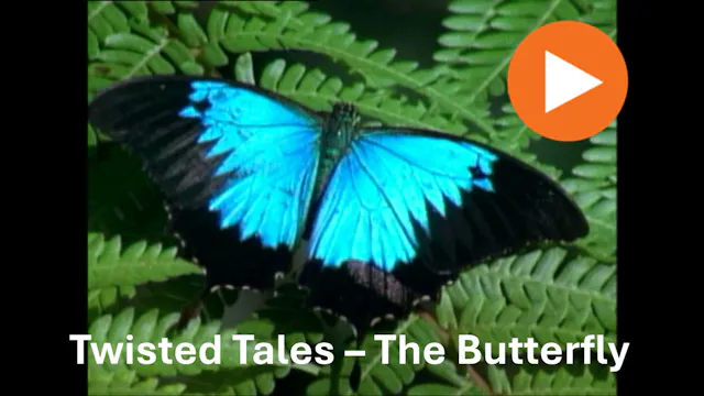 Twisted Tales (series 1/5 The Butterf...