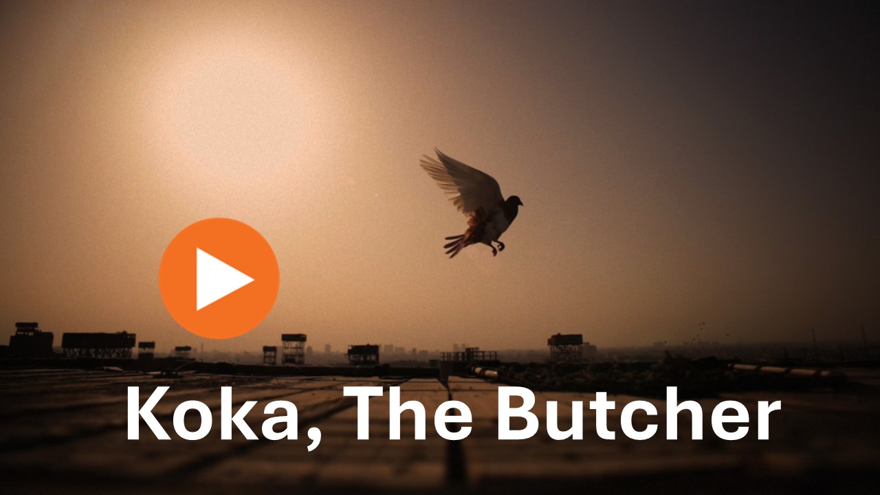 Koka The Butcher Trailer