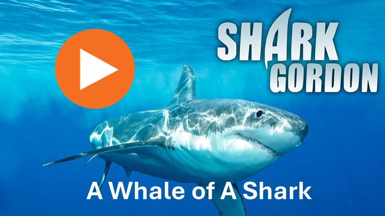 Shark Gordon A Whale of a Shark