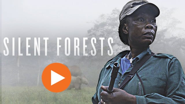 Silent Forests