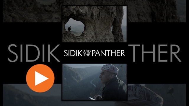 Sidik And The Panther