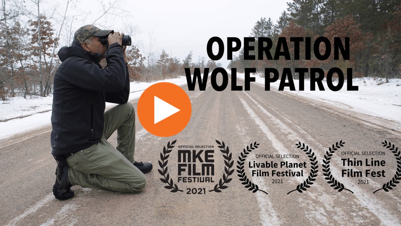 Operation Wolf Patrol Trailer