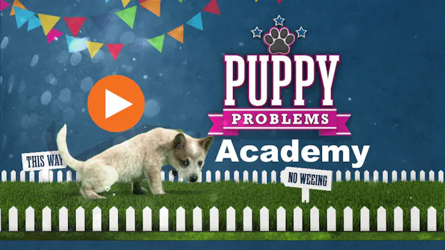 Puppy Academy season 1 - 5