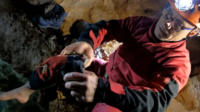 The Claustrophiles Trailer