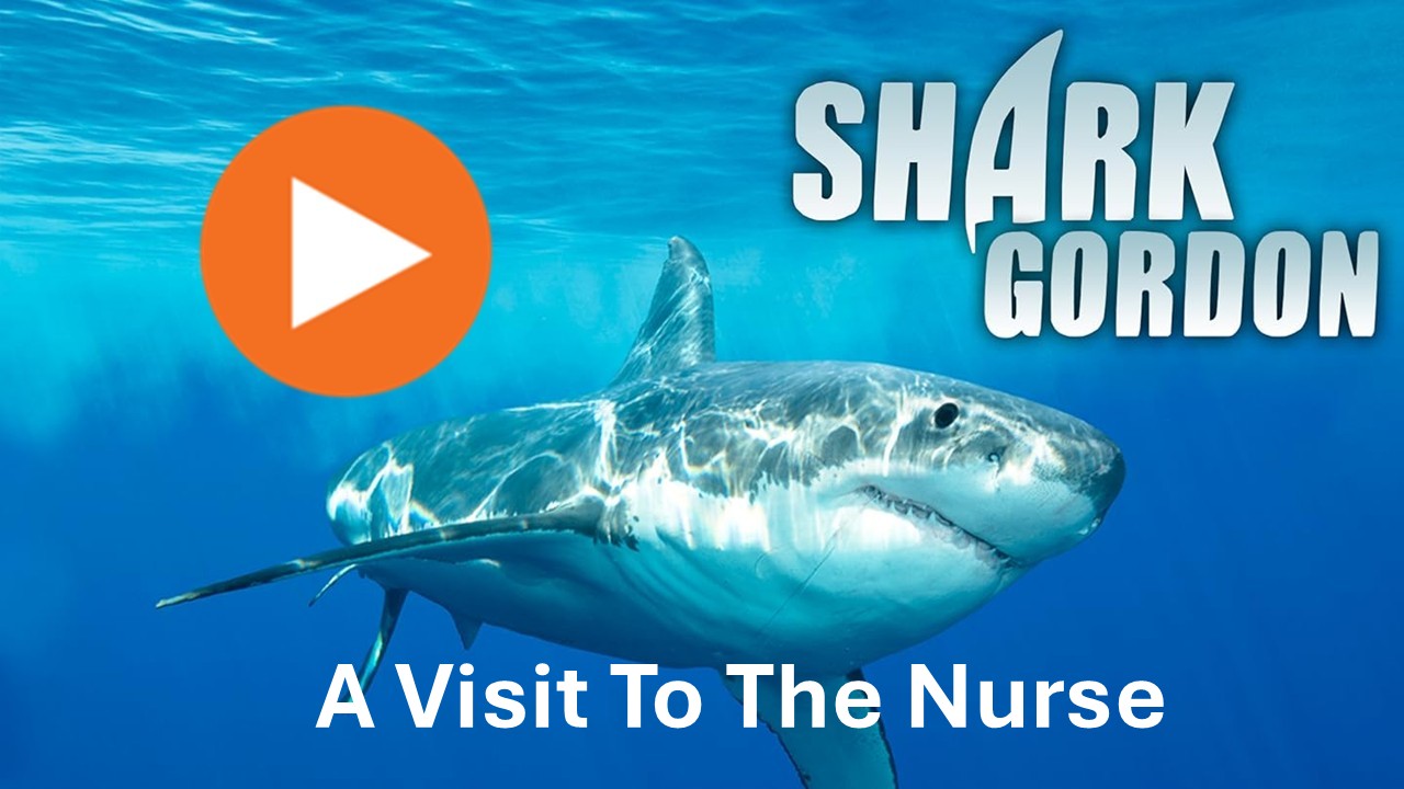 Shark Gordon A Visit to the Nurse