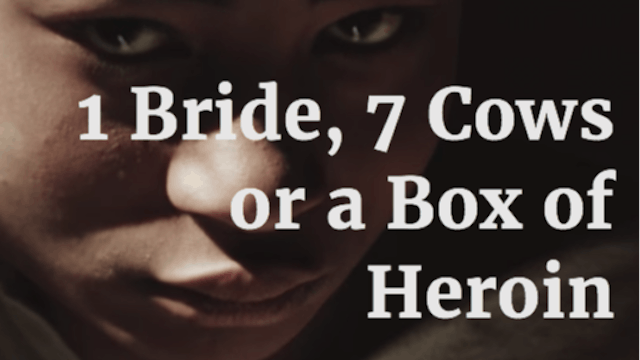 One Bride, Seven Cows or a Box of Heroin
