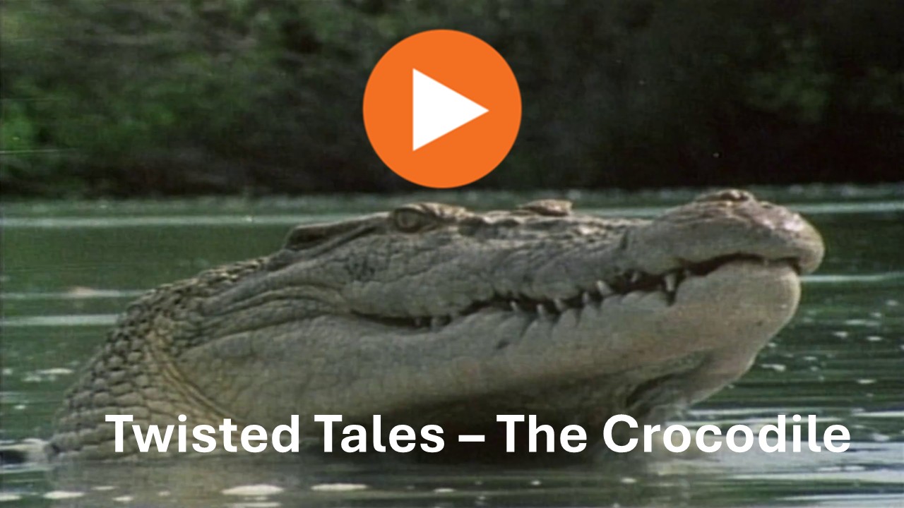 Twisted Tales (series 4/5 The Crocodile) Trailer