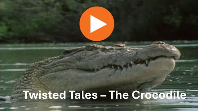 Twisted Tales (series 4/5 The Crocodi...