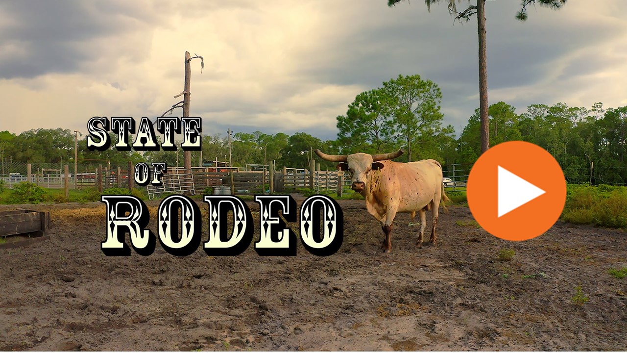 State of Rodeo