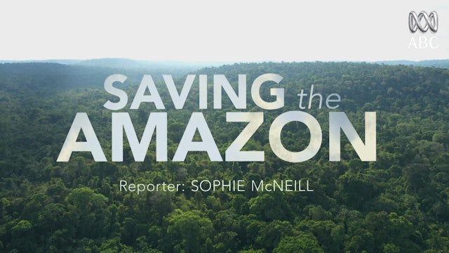 Saving The Amazon