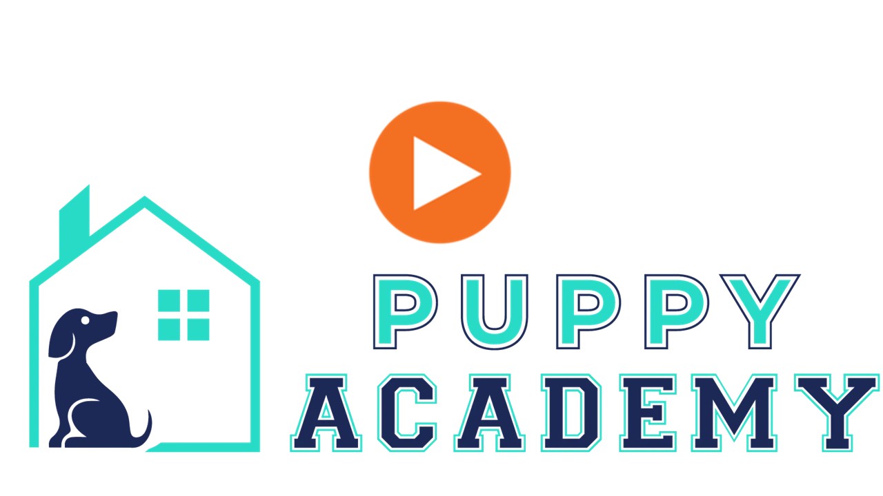 Puppy Academy season 1 - 4