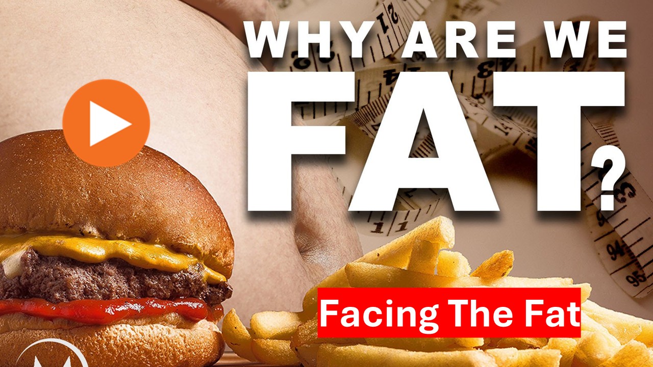Facing The Fat
