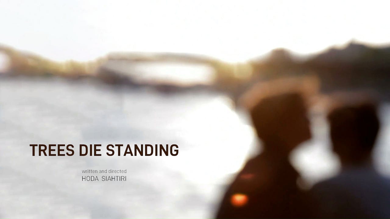 Trees Die Standing Docunight