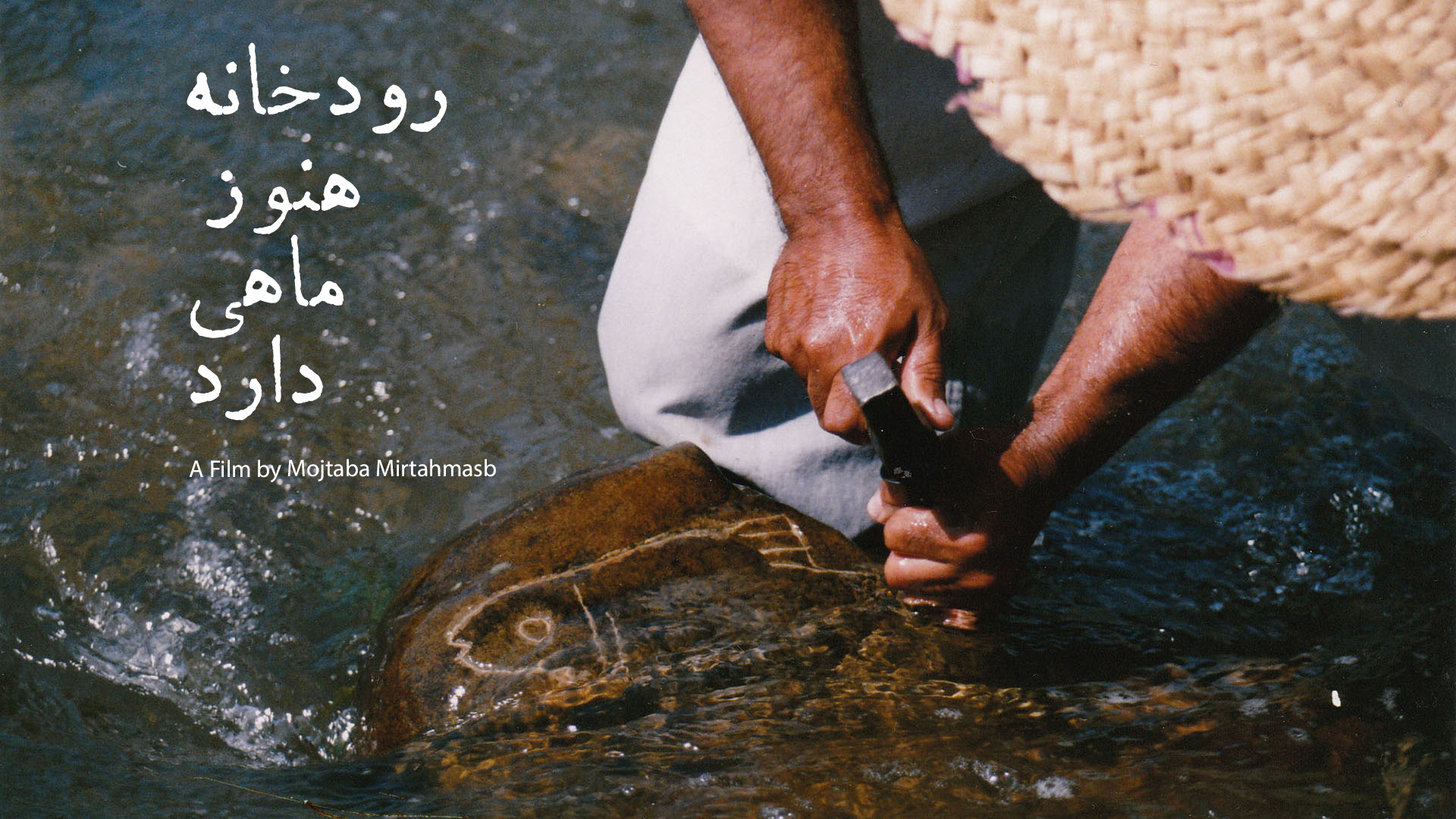 The River Still Has Fish