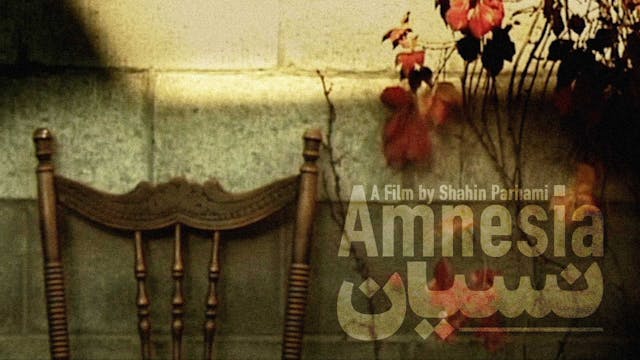 Amnesia