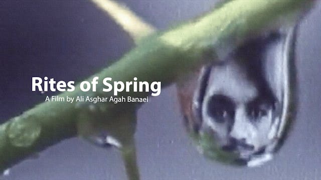 Rites of Spring