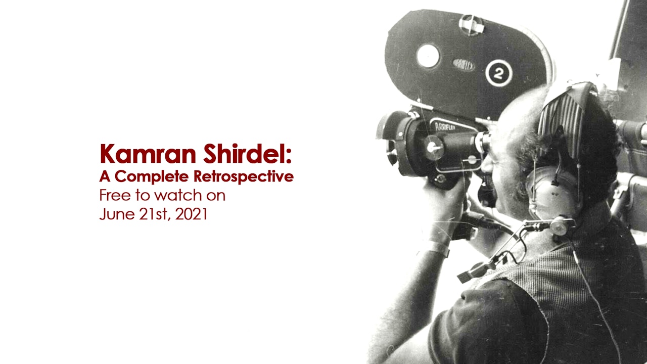 Kamran Shirdel Spotlight
