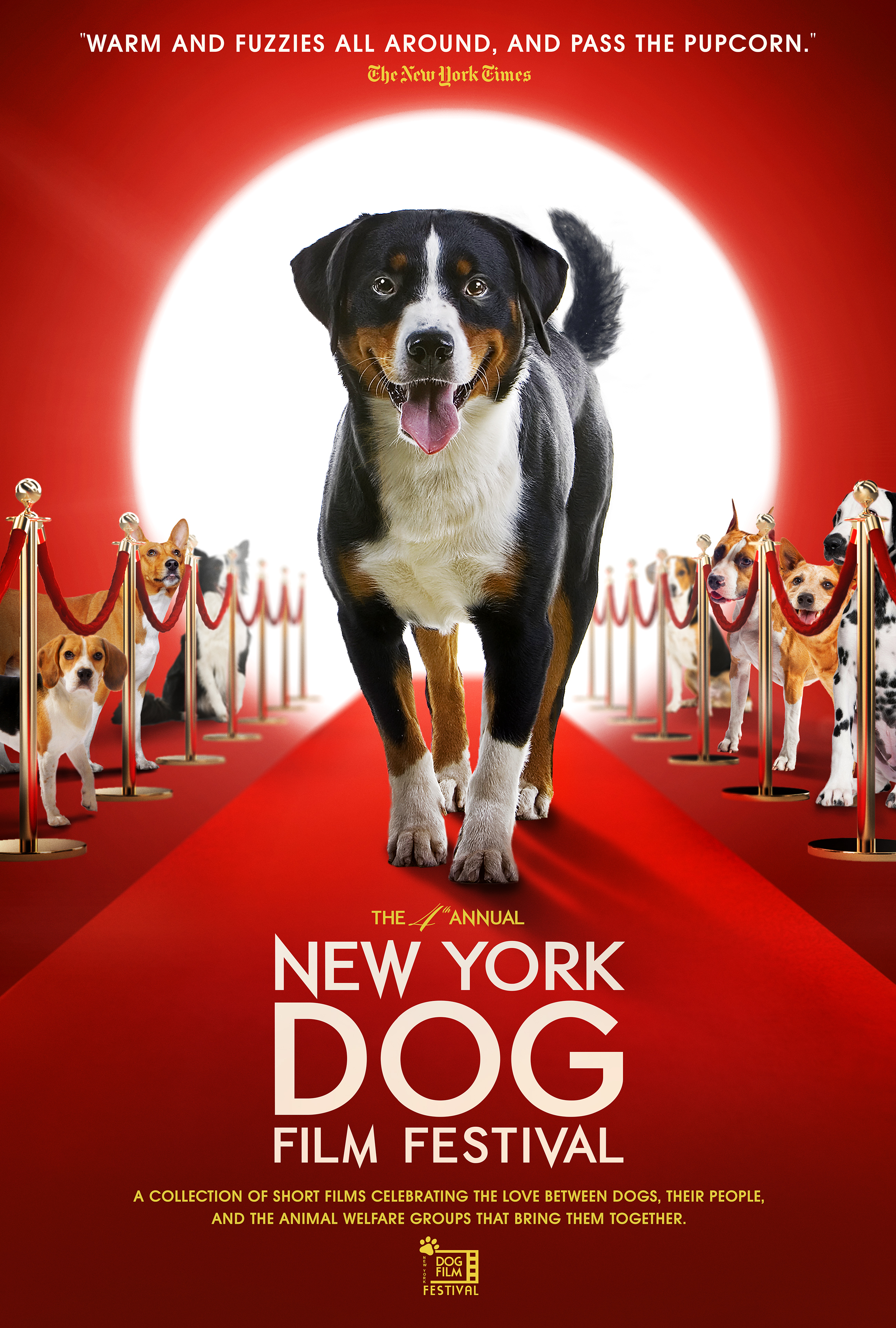 2020_NY-DOG-FILM-FESTIVAL.jpg