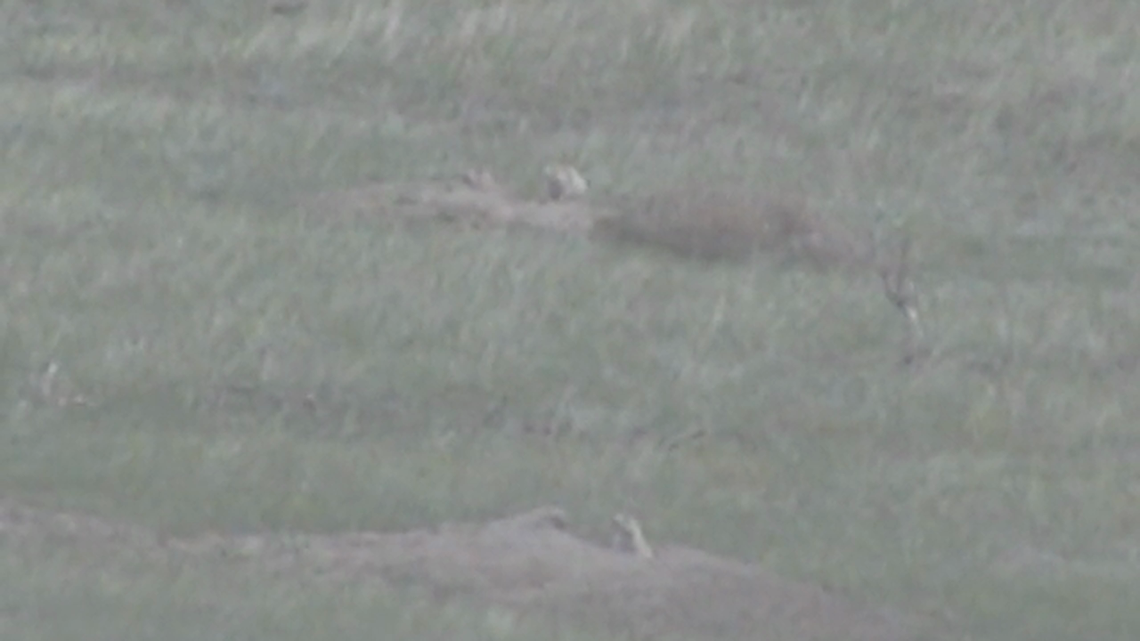 Raw Footage: The Making of a "Double"