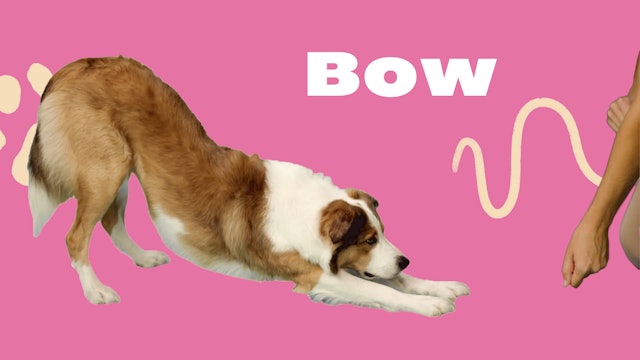 Trick 2: Bow